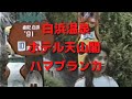 白浜温泉 ハマブランカと旧･ホテル 天山閣 1991.10.27 youhalu