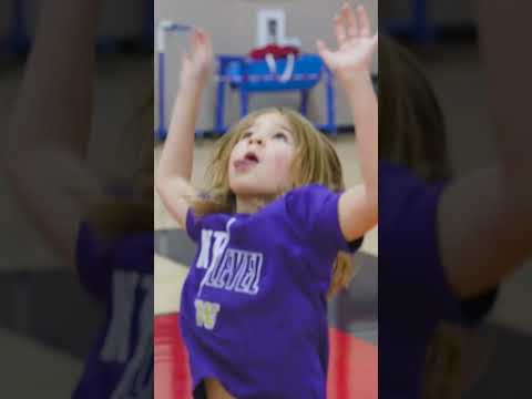 Next Level Volleyball