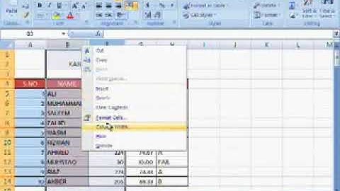 Free Learn Microsoft Excel 2007 Urdu Video Course Class 20