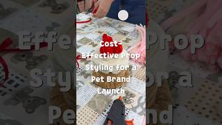 Cost-Effective Prop Styling for a Pet Brand Launch