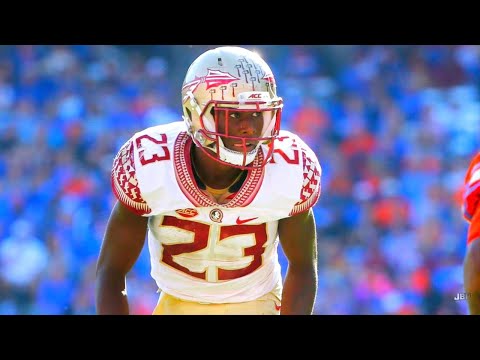 Florida State Safety Hamsah Nasirildeen Highlights 🍢 ᴴᴰ