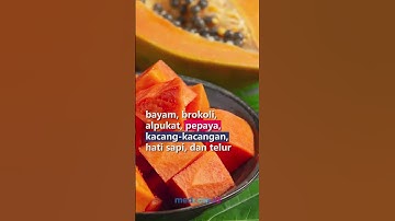 4 MAKANAN YANG WAJIB BUMIL KONSUMSI DI TRIMESTER PERTAMA