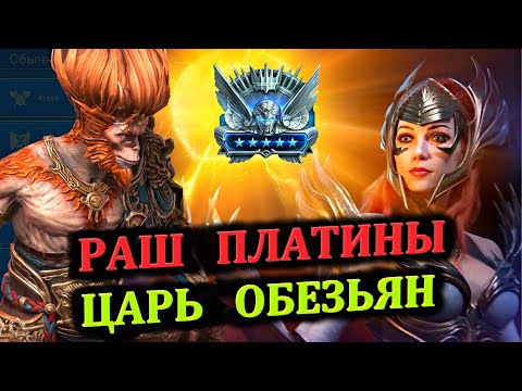 Видео: Сун Вуконг - Раш Платины - Царь Обезьян - RAID: shadow legends (№40 Платиновый понедельник)