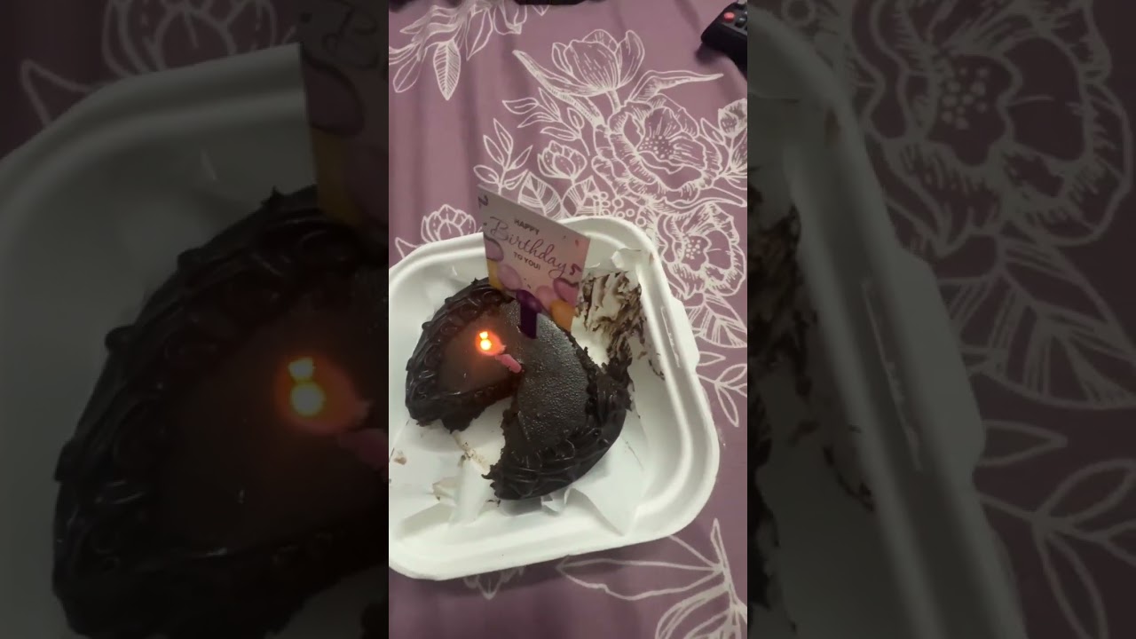 My lonely birthday vlog 