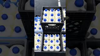 Come with us to a Mobile Pantry distribution!