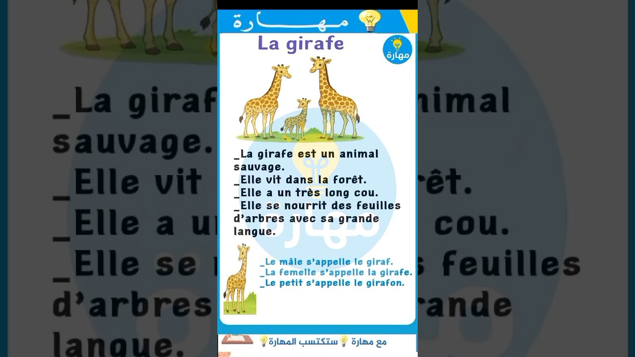 تعبير كتابي باللغة الفرنسية السنة الخامسة ابتدائي #La girafe#مهارة💡💡