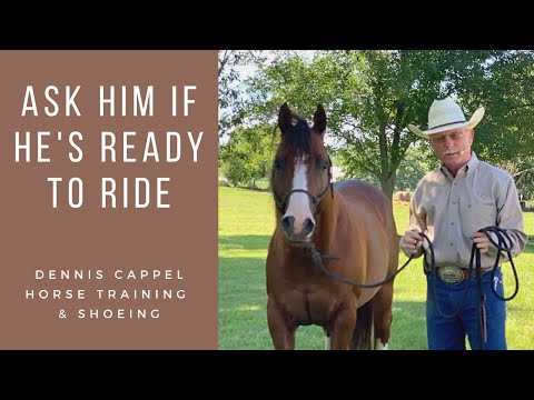 Is Your Horse