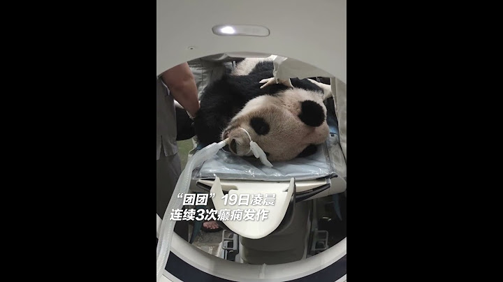 再见“团团”！大陆赠台大熊猫“团团”因病情恶化，于19日下午离世 | CCTV - 天天要闻