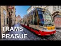  trams in prague  tramvaje v praze 4k 2020