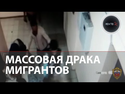 Массовая драка мигрантов в хостеле в Новой Москве | Видео