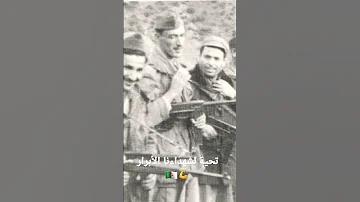تحيا الجزائر حرة 