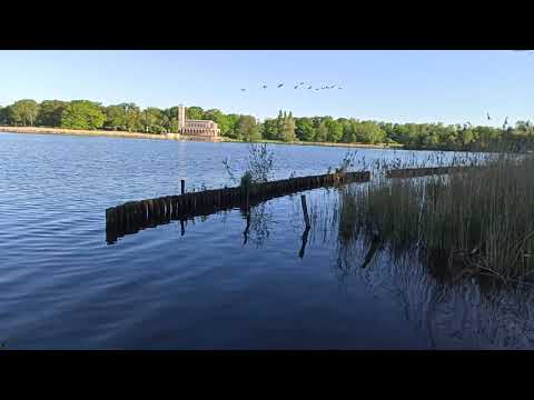 Видео: Walking in Schlossgarten Glienicke - SPRING early morning | Footage Part 1