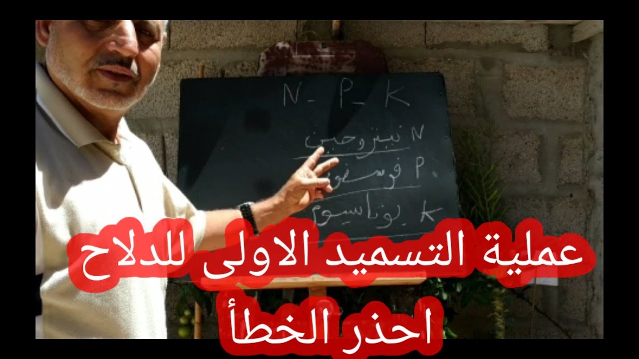 تسميد البطيخ الأحمر ب: npk لأول مرة،ينبغي توخي الحذر. #الزراعة_المنزلية