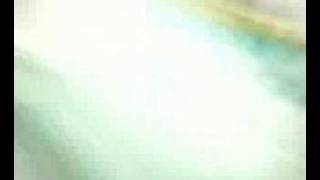 allibiya tv