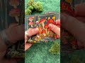 Mushrooms - Daily Doses of Wisdom (36 Gilt-Edged Full-Color Cards)