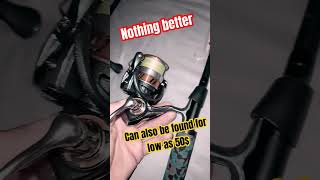 best budget fishing reel cheap spinning reels that perform! daiwa light tackle fishing gear
