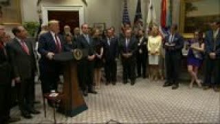 Trump: 'Very surprised' about Don Jr. subpoena
