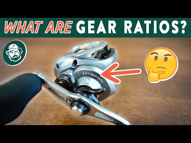 Understanding Baitcaster Gear Ratios: What Gear Ratio Reel Should You Use??  