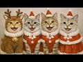 【40代と猫9匹との暮らし🎄】猫とわたしの ちょっと嬉しい時間/3姉妹の4歳のお祝い🐱🐱🐱🎂
