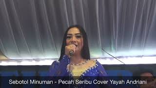 Sebotol Minuman - Pecah Seribu Cover Yayah Andriani (LIVE SHOW BATUKARAS PANGANDARAN)