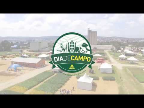 Dia de Campo 2018 Cooperativa Bom Jesus - YouTube