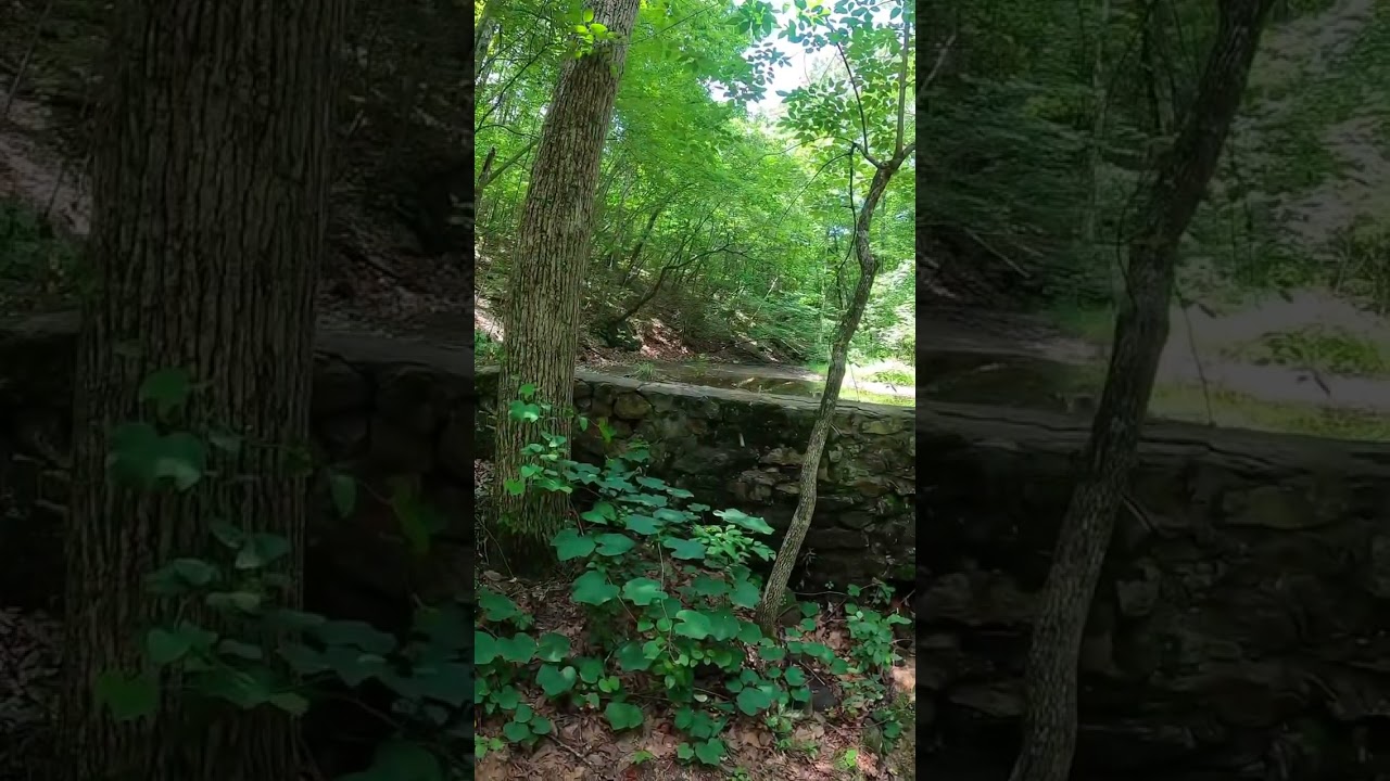 Father’s Day hike at Cane Creek Mountain NC