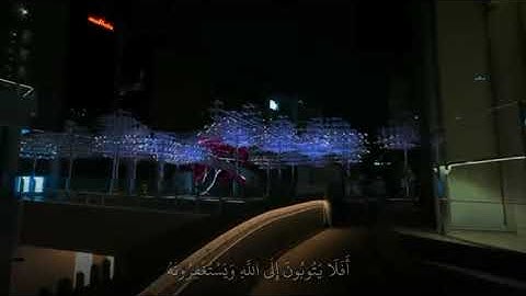أفلا يتوبون إلى الله ويستغفرونه .. القارئ عبدالرحمن مسعد