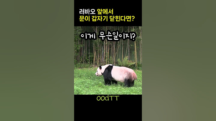 러바오 앞에서 문이 갑자기 닫힌다면 반응이 어떨까?