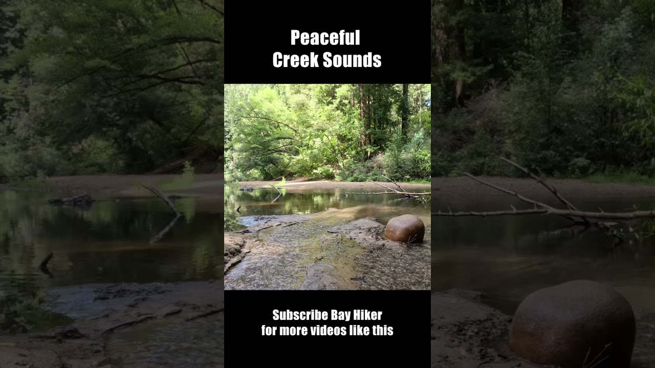 Creek sound at Cable car beach 