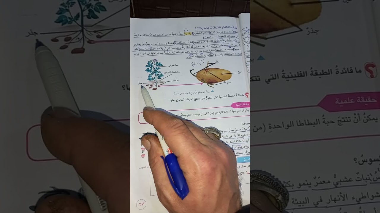 موضوع التكاثر  الخضري للصف السادس الابتدائي