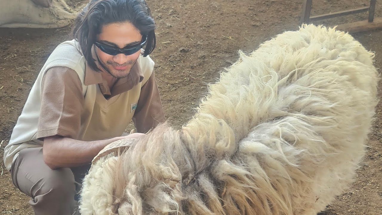 In search of Bakra & My results r on Board . 