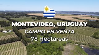 Campo en venta de 78 hectáreas en Montevideo, Uruguay