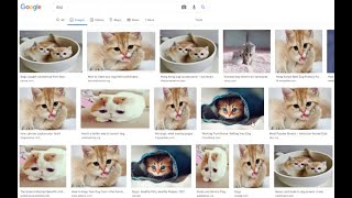 Tutorial Chrome Extension - Change all image in website to cat 😂😂😂