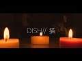 【Tik Tok 200万回再生の替え歌！！】猫 / DISH//  ゆめたまごオリジナルアコースティックカバー