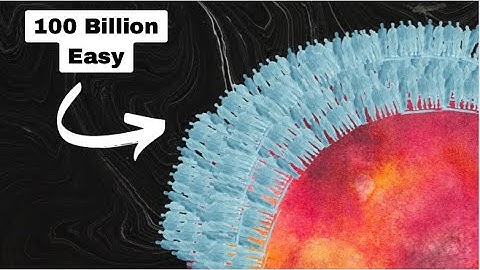 Why Overpopulation Is Not Concerning Whatsoever
