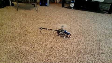 T-Rex 250 Pro Hover Test