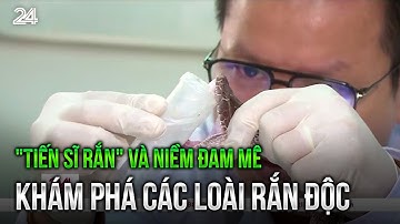"Tiến sĩ rắn" và niềm đam mê khám phá các loài rắn độc | VTV24