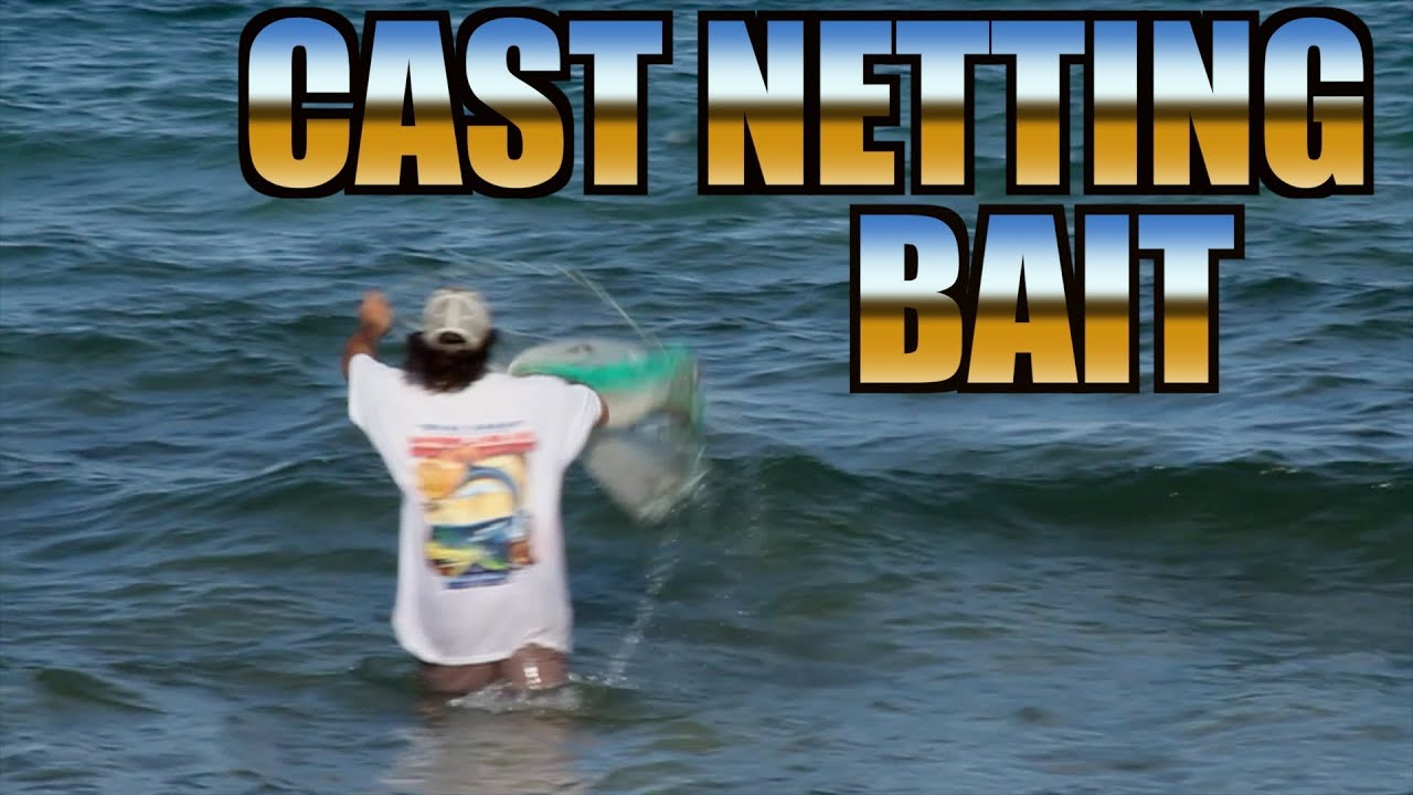 The Art Of Cast Netting Bait 