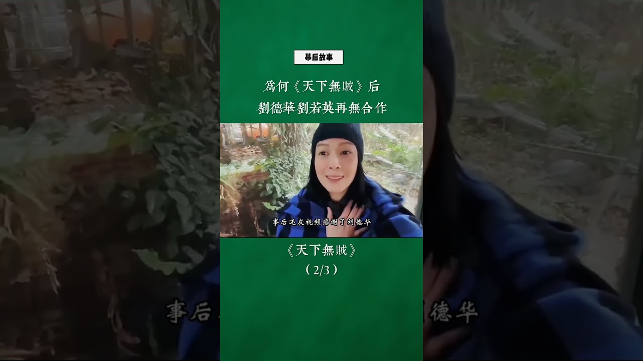 天下无贼 Fragman kapak görseli