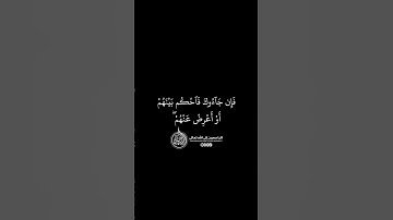 ماهر المعيقلي - سورة المائدة ( برواية حفص عن عاصم ) الأية 42