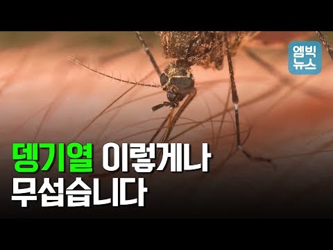 동남아에서 모기 물리면 &rsquo;뎅기열&rsquo; 의심부터..휴가철 해외여행 &rsquo;이것만은 알고 가자&rsquo;!!!