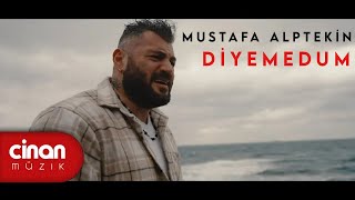 Mustafa Alptekin - Diyemedum Resimi