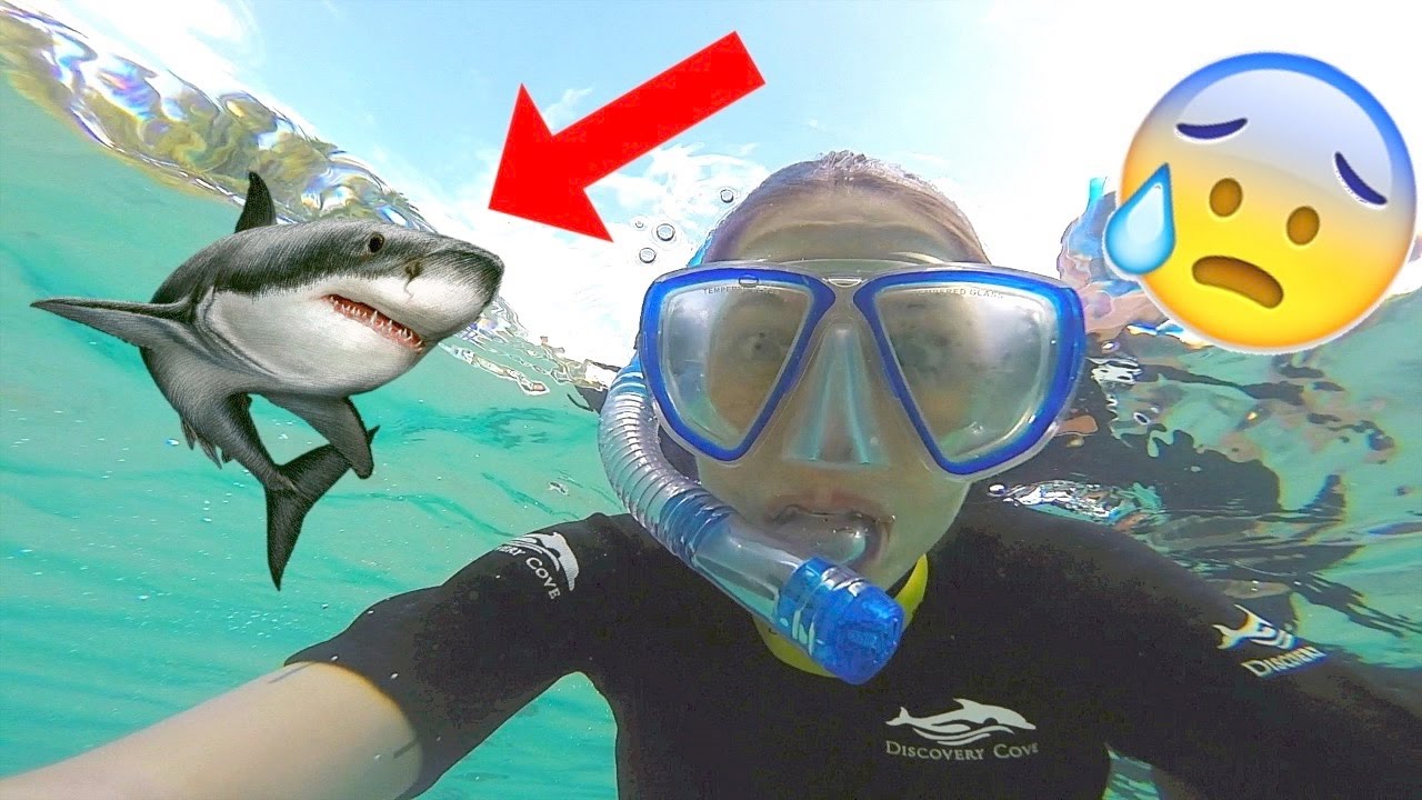 NADE CON TIBURONES !!! 😰