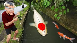 Bocil Mancing Ikan Koi Tancho Jumbo Di Spot Sungai Banyak Ikan Bagus