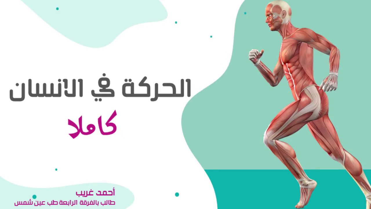 مراجعة مفصلة لدرس الحركة في الإنسان / مراجعة الاحياء للصف الثالث الثانوى