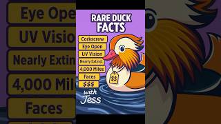 NEVER heard duck facts like this face-recognition to thousands of dollars birds… #ducks #facts