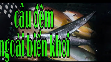 ĐI SĂN CÁ ĐÊM | HAI CHA CON TRỐN VỢ ĐI CÂU VÀ CÁI KẾT