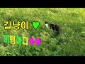 길냥이 따라다니기^^