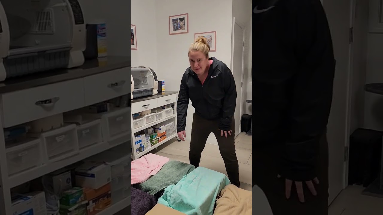 Vet Day Friday 2/17/23 