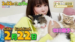 CIAOちゅ～るpresentsオールねこ感謝！ニャンにゃんオフ会2022 | ＢＳテレ東